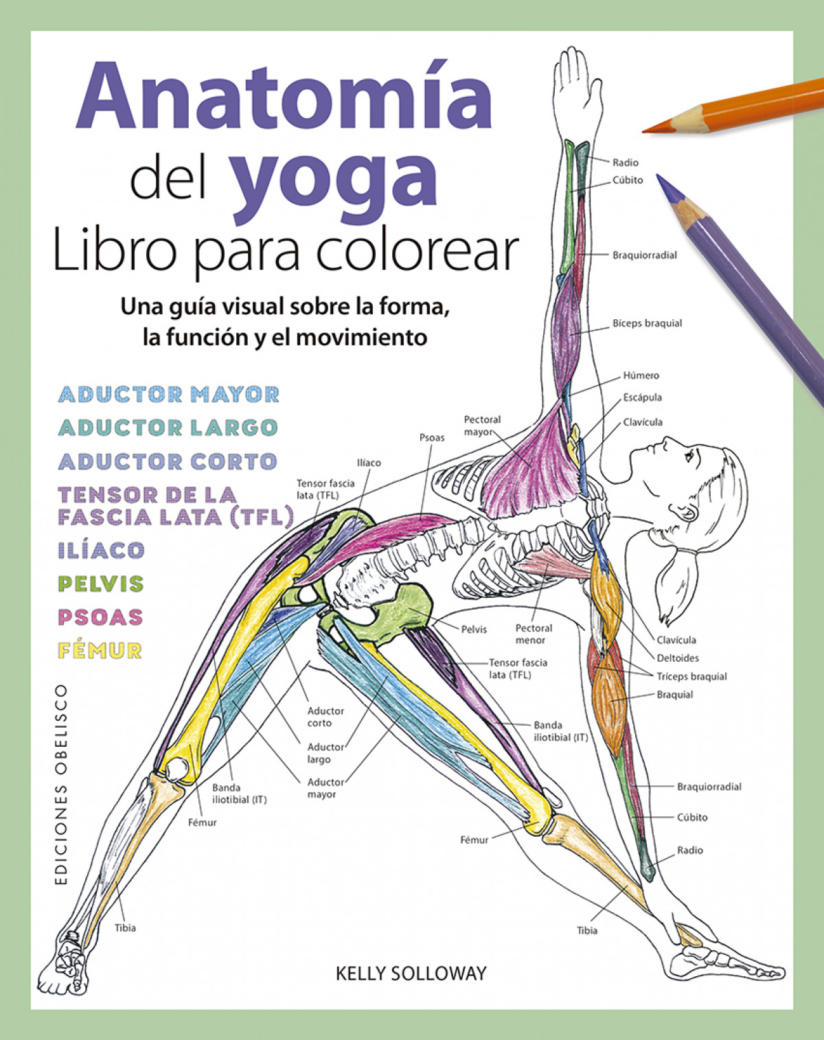 Anatomia del yoga. libro para colorear