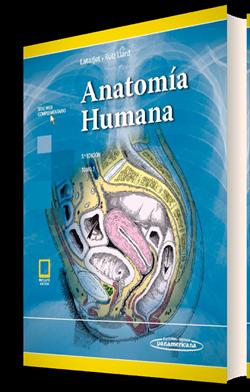 Anatomía humana 5ed. t2 (ebook)