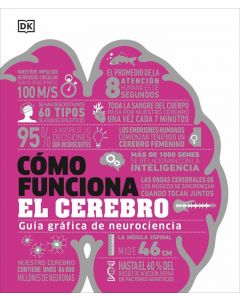 Cómo funciona el cerebro
