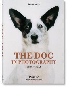 The dog in photography 1839–today