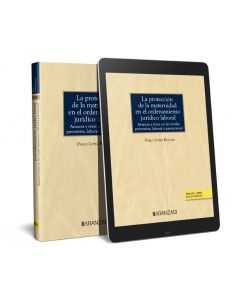 La protección de la maternidad en el ordenamiento jurídico laboral (papel + e-book)
