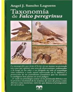 Taxonomia de falco peregrinus
