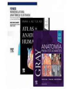 Pack nomenclatura anatomica ilustrada + anatomia gray + anatomia  netter