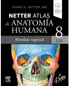 Netter. atlas de anatomía humana. abordaje regional