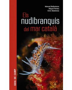 Els nudibranquis del mar català