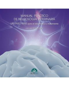 Manual práctico de neurología. un paso más para el diagnóstico y tratamiento (vol. 2)