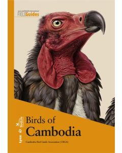 Birds of cambodia