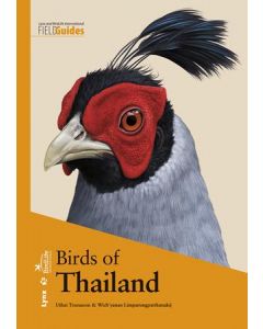 Birds of thailand