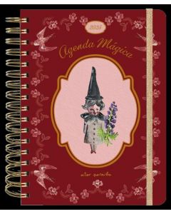 Agenda anual semanal 2025 aitor saraiba