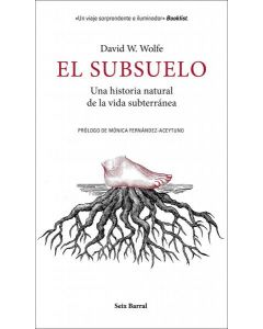 El subsuelo