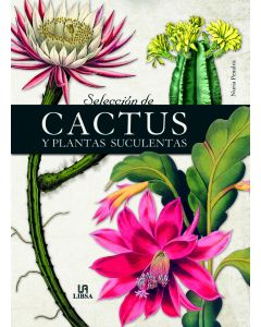 Selección de cactus y plantas suculentas