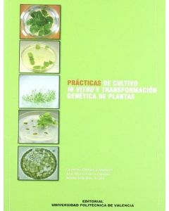 Prácticas de cultivo in vitro y transformación genética de plantas