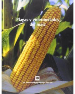 Plagas y enfermedades del maíz