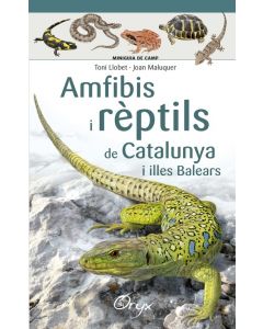 Amfibis i rèptils de catalunya i illes balears