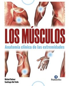 Músculos, los. anatomía clínica de las extremidades
